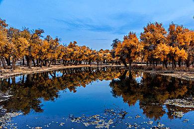 Steam最新一周销量榜 《龙之信条2》成功登顶